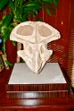 Dinosaur skull (1)