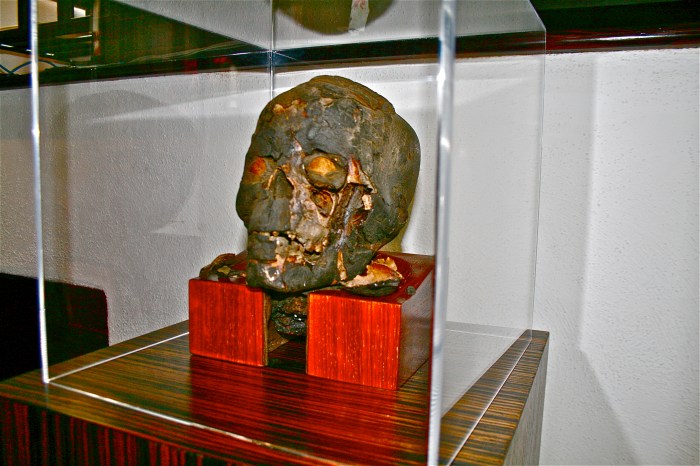 Mummy skull stand (1)